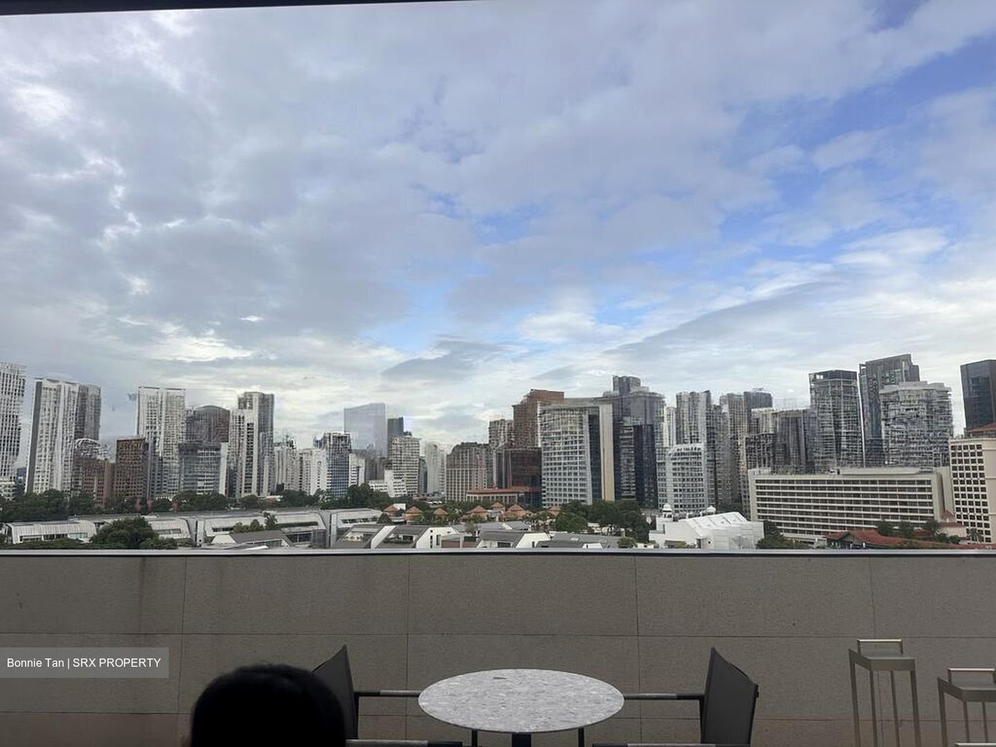 8 Napier (D10), Condominium #501905141